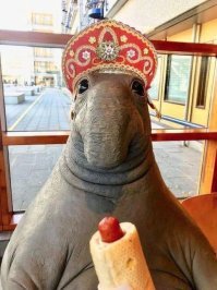 ЧМ 2018: как будет развиваться туризм в России после спортивного турнира