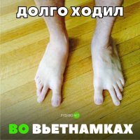 пингвин, мля