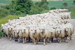 Быть первым: в центре Москвы выстроилась очередь за умными колонками