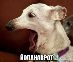 "Фотограф надеется, что люди  увидят красоту родов глазами Рэйнджера". Фотограф такая же припизженая