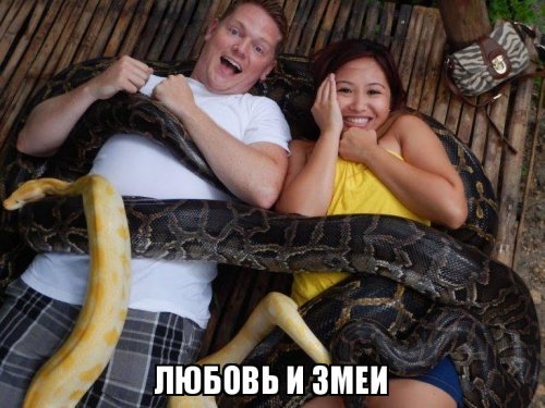 Как смотрят "Любовь и голуби" в Индии