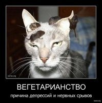 20 людей, чей уровень пофигизма просто зашкаливает