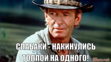 Австралийские рейнджеры поймали крокодила весом в 600 кг