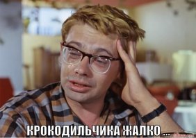 Австралийские рейнджеры поймали крокодила весом в 600 кг