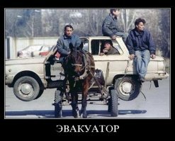 15 людей, которые готовы впихнуть и отвезти что угодно