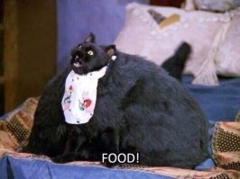 Безумный японец создал гибрид кота и пылесоса