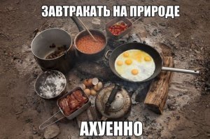 25 «вкусных» фотографий, после которых хочется бросить всё и уехать на природу