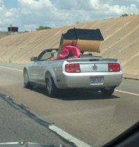 В машине слушает только классику.