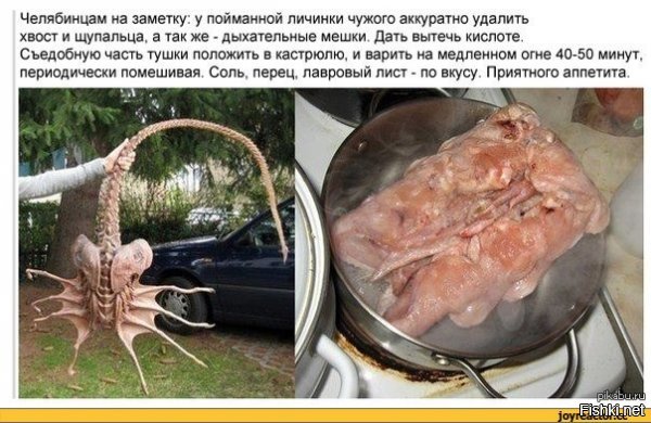 даже некоторых можно готовить!)))