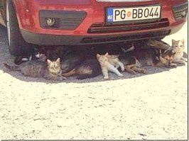 Добавка: