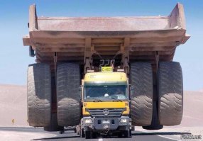 15 людей, которые готовы впихнуть и отвезти что угодно