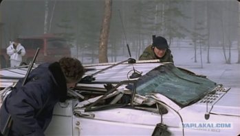 Мама, клубнику жрут! Набег кабанчиков на грядку с клубникой