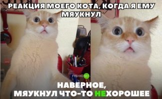 словно говорит тыы прекрати такое говорить вообще.