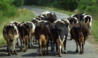 Пожалста!
Кусай за любую!