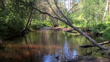 БООльшая часть этих фоток отфотошоплены! 
Пример: млечный путь таких размеров на небе? Серъезно?
Вот фотки нашей России с телефона и без фотошопа: