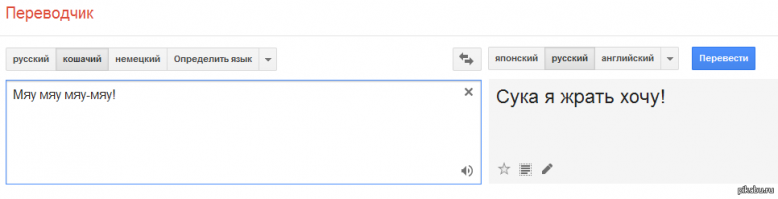 Картинки с надписями для настроения
