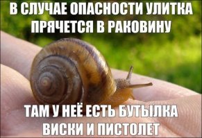 Картинки с надписями для настроения