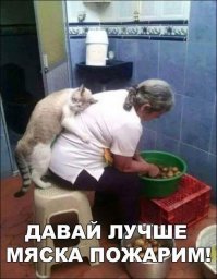 Картинки с надписями для настроения
