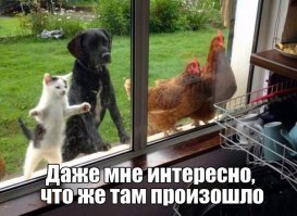 Картинки с надписями для настроения