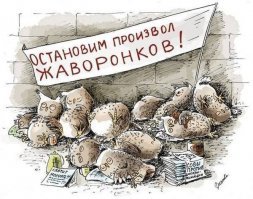 Зачем в кофе соль, или Тест на то, насколько вы кофеман