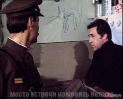 Питер украсили шестиметровым котом, самым большим в Европе
