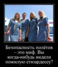 Как стать стюардессой и бортпроводником. Что надо для этого уметь?