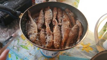 я под пивас очень окушков люблю жареных