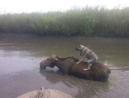 О каких правилах ты речь ведешь.
.