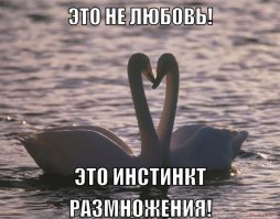 15 фотографий, которые заставят вас поверить в любовь