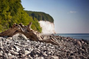 На последней....хотел приколоться, спросить, а чё такая грязная,.... ан нет это боди арт оказалось....искусство
