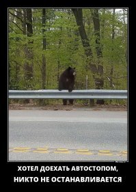 Подборка автомобильных приколов