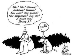 Любят ли собаки смотреть телевизор?