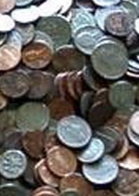 Где тут морда собаки?