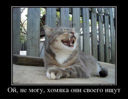 Вы не поверите, что эти милашки - хищники!