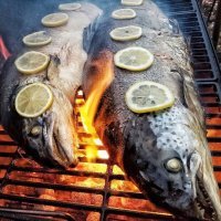 И еще вот здесь при таком огне вы получите уголек снаружи и сырое мясо внутри. Лососевые вообще рыбки нежные. Любят, когда их томят в жару подольше... 
Лично у меня на правильно приготовленной красной рыбе срывает крышу