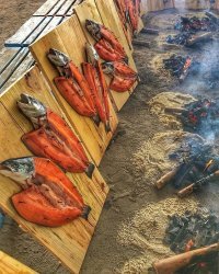 Красивые фотки, порадовался за молодых :)
Но вот по моей теме увидел то, чего не должно быть ни в коем случае.
Первый косяк. Рыбу прибивают ДЕРЕВЯННЫМИ колышками твёрдых пород дерева. Упаси боже какие-то стальные гвозди. Поди еще и оцинкованные. Получите приличный привкус в виде жжёного цинка. Спросите у знакомых сварщиков, что это такое.
 Полная профанация замечательной идеи.