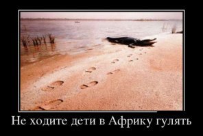 Смертельные челюсти: потрясающие фотографии крокодильей охоты