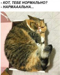 На, получи, млятть!