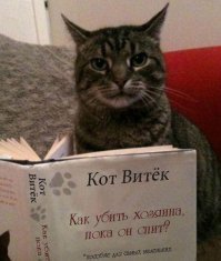 Новый флешмоб в сети: пользователи хвастаются одинаковым маникюром с питомцами