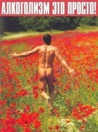 Цветущие поля Италии