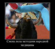 Разъяренные быки и отчаянные смельчаки