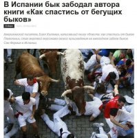 Разъяренные быки и отчаянные смельчаки