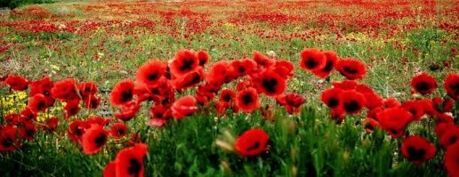 А это уже Афганистан