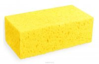 25 поразительно круто спрятавшихся животных