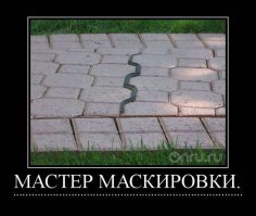 25 поразительно круто спрятавшихся животных