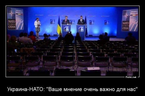 Политические коментарии - 534