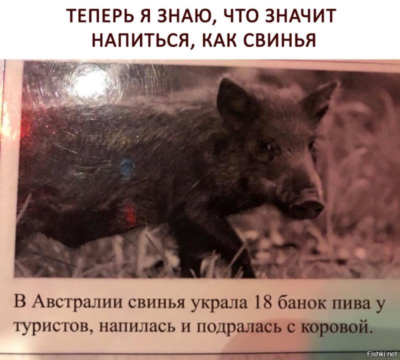 &quot;Сон алкоголика краток и беспокоен&quot;