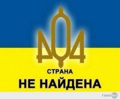 Хроника идиотов, или вести из страны дураков