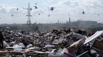 Неожиданные находки, которые можно встретить только на российских помойках