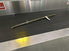 Ну это может быть саженец виноградной лозы, не саженец, черенок для посадки. Может какой сорт редкий. Его такими палками и сажают.